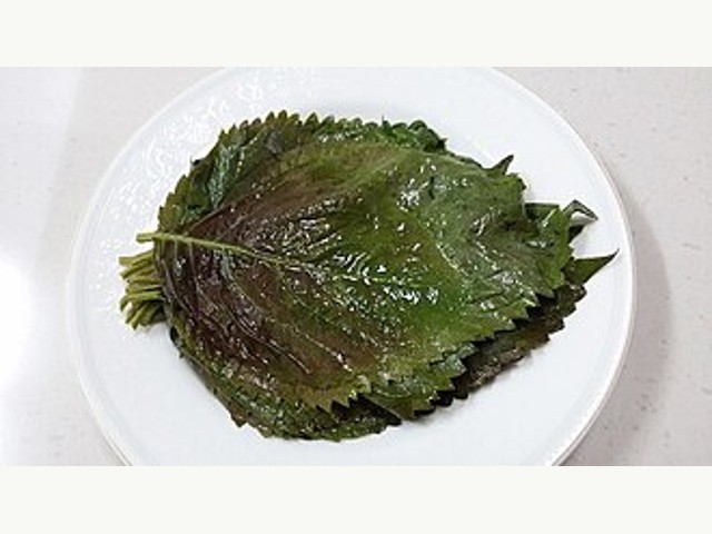 기본 상품 참고 사진