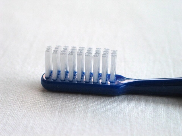 기본 상품 참고 사진