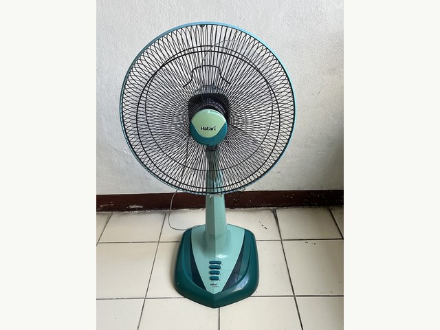 기본 상품 참고 사진