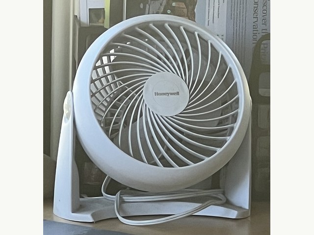 기본 상품 참고 사진