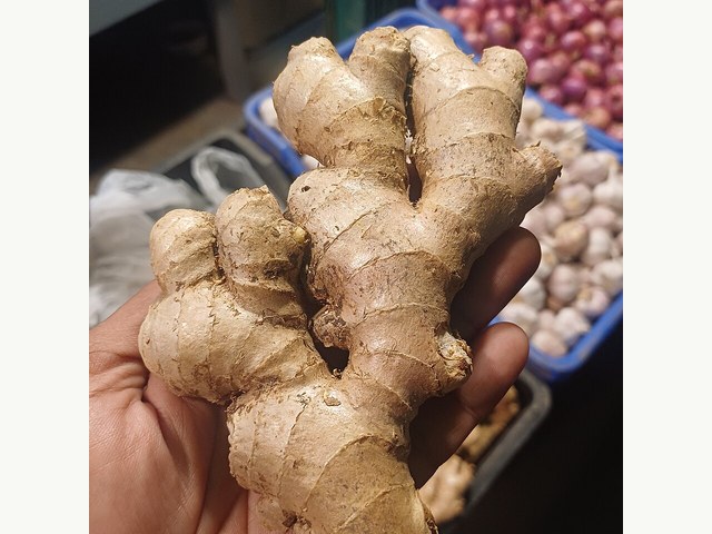 기본 상품 참고 사진