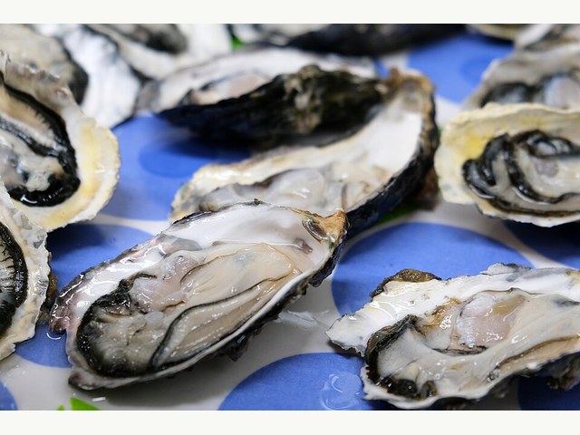 기본 상품 참고 사진