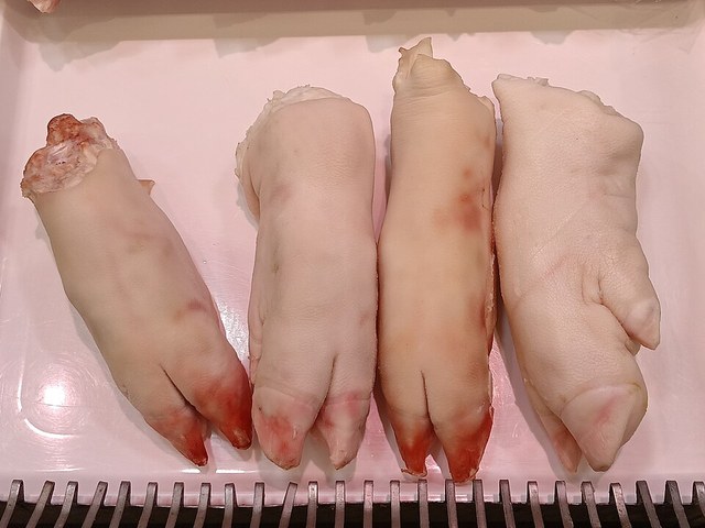 기본 상품 참고 사진